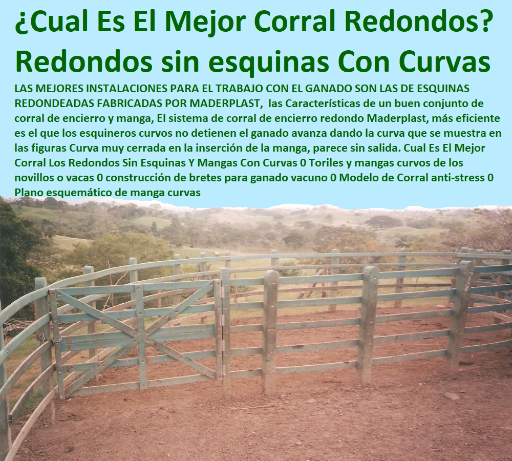 Cual Es El Mejor Corral Los Redondos Sin Esquinas Y Mangas Con Curvas 0 Toriles y mangas curvos de los novillos o vacas 0 construcción de bretes para ganado vacuno 0 Modelo de Corral anti-stress 0 Plano esquemático de manga curvas Cual Es El Mejor Corral Los Redondos Sin Esquinas Y Mangas Con Curvas 0 Mangas De Coleo, Corral Caballerizas, Pesebreras De Caballos, Plaza Toros, Brete Ganadero, Apretaderos Embarcaderos, Postes Tablas, Polines Varetas, Mangas De Coleo, Horcones Madera Plástica, Corrales, Establos De Ganado, Toriles y mangas curvos de los novillos o vacas 0 construcción de bretes para ganado vacuno 0 Modelo de Corral anti-stress 0 Plano esquemático de manga curvas